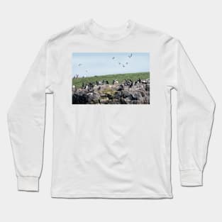 Puffins colony on the Farne islands, Northumberland, UK Long Sleeve T-Shirt